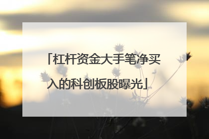 杠杆资金大手笔净买入的科创板股曝光